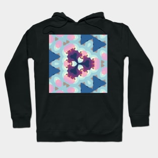 Kaleidoscope Various Cute Colors Hoodie